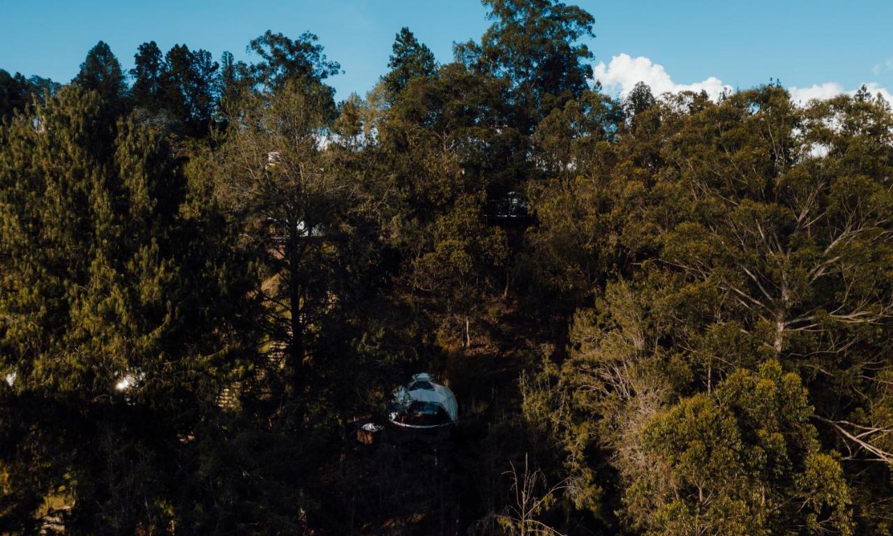 Domus Glamping Guatape Hotel Екстериор снимка